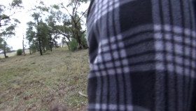 Caught On Dashcam S05E07 1080p WEB h264-EDITH EZTV