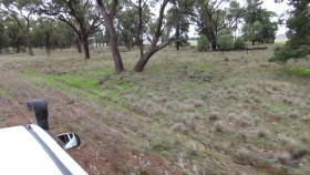 Caught On Dashcam S05E07 XviD-AFG EZTV