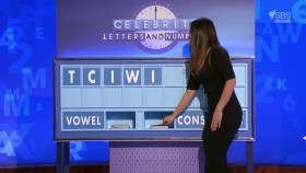 Celebrity Letters And Numbers S01E09 XviD-AFG EZTV