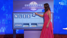 Celebrity Letters And Numbers S02E04 1080p HDTV H264-CBFM EZTV
