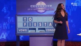 Celebrity Letters And Numbers S02E09 XviD-AFG EZTV