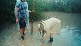 Celebrity Race Across the World S02E01 720p HEVC x265-MeGusta EZTV