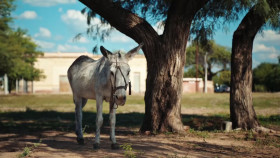 Celebrity Race Across the World S02E05 720p HEVC x265-MeGusta EZTV