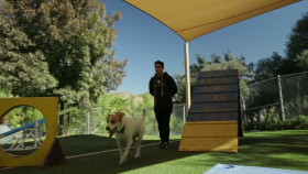 Cesar Millan Better Human Better Dog S01E05 720p HEVC x265-MeGusta EZTV