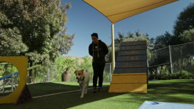 Cesar Millan Better Human Better Dog S01E05 720p WEBRip x264-CBFM EZTV