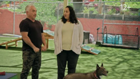Cesar Millan Better Human Better Dog S03E03 XviD-AFG EZTV