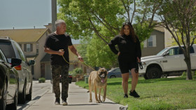 Cesar Millan Better Human Better Dog S03E06 1080p WEB h264-KOGi EZTV