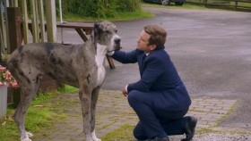 Ch5 Biggest Dog in the World 720p HDTV x264 AAC mp4 EZTV