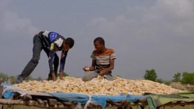 Chasing Flavor S01E06 XviD-AFG EZTV