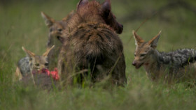 Chasing the Rains S01E01 1080p WEB h264-EDITH EZTV