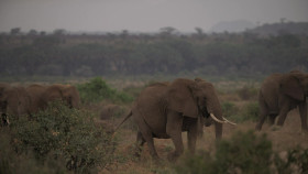 Chasing the Rains S01E02 1080p WEB h264-EDITH EZTV