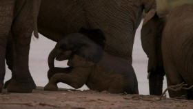 Chasing the Rains S01E03 720p WEB h264-EDITH EZTV