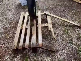 Chateau DIY S07E09 480p x264-mSD EZTV