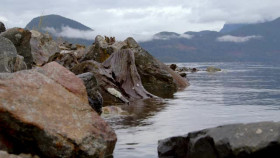 Chefs vs Wild S01E03 XviD-AFG EZTV