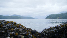 Chefs vs Wild S01E06 XviD-AFG EZTV