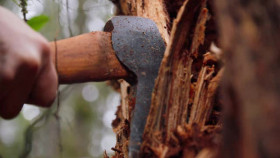 Chefs vs Wild S01E07 XviD-AFG EZTV