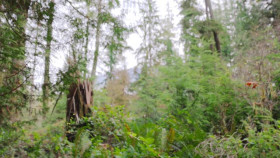 Chefs vs Wild S01E08 XviD-AFG EZTV