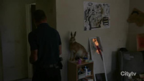 Chicago PD S12E01 XviD-AFG EZTV