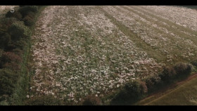 Child Snatchers A Day at the Fair S01E01 1080p HDTV H264-DARKFLiX EZTV