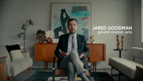 Chimp Crazy S01E01 1080p WEB h264-EDITH EZTV