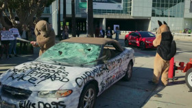 Chimp Crazy S01E01 480p x264-RUBiK EZTV