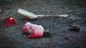 Chimp Crazy S01E02 1080p HEVC x265-MeGusta EZTV