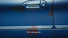 Chimp Crazy S01E02 XviD-AFG EZTV