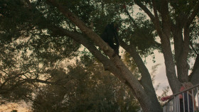 Chimp Crazy S01E04 1080p WEB h264-EDITH EZTV