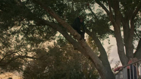 Chimp Crazy S01E04 XviD-AFG EZTV