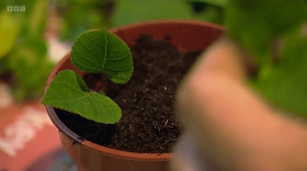 Christines Garden S01E05 1080p HEVC x265-MeGusta EZTV