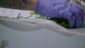 Ciao House S02E10 1080p HEVC x265-MeGusta EZTV