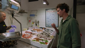 Ciao House S02E10 1080p WEB h264-EDITH EZTV