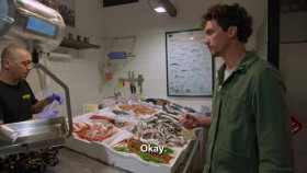 Ciao House S02E10 XviD-AFG EZTV