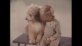 Cinema Toast S01E02 720p WEB h264-KOGi EZTV