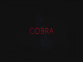 Cobra 2020 S01E06 INTERNAL 480p x264-mSD EZTV