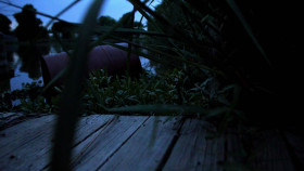 Cold Case Files Murder in the Bayou S01E06 1080p WEB h264-EDITH EZTV