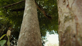 Colombia Wild and Free S01E01 1080p WEBRip x264-BAE EZTV