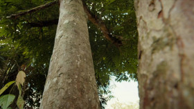 Colombia Wild and Free S01E01 720p WEBRip x264-BAE EZTV