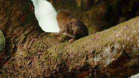 Colombia Wild and Free S01E01 XviD-AFG EZTV