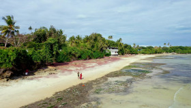 Coming From America S01E06 1080p WEB h264-EDITH EZTV