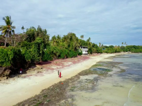 Coming From America S01E06 480p x264-mSD EZTV