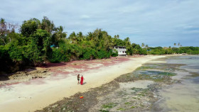 Coming From America S01E06 720p HEVC x265-MeGusta EZTV