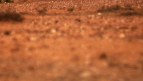 Constructing Australia S01E03 1080p WEB H264-CBFM EZTV