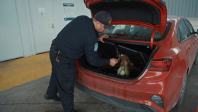 Contraband Seized at the Border S04E08 1080p HEVC x265-MeGusta EZTV