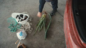 Contraband Seized at the Border S04E08 1080p WEB h264-FREQUENCY EZTV