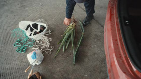 Contraband Seized at the Border S04E08 XviD-AFG EZTV