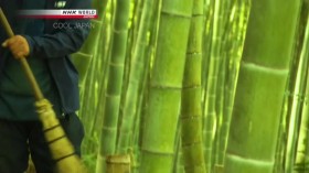 Cool Japan S08E13 Bamboo HDTV x264-DARKFLiX EZTV