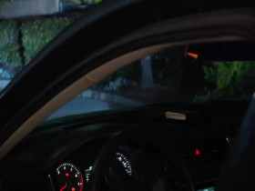 Cops S34E13 480p x264-mSD EZTV