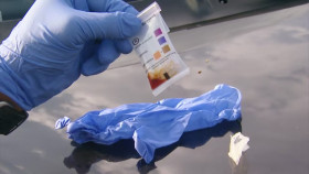 Cops S34E17 720p HEVC x265-MeGusta EZTV