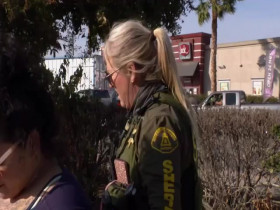 Cops S35E02 480p x264-mSD EZTV